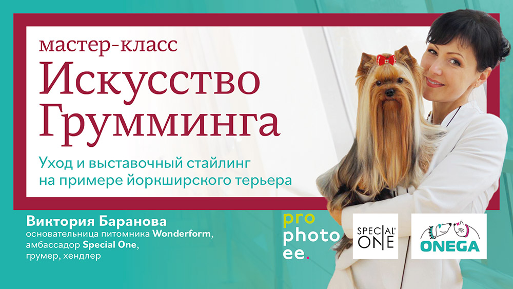 mc_online_mk_advertising_web_banner_1920x1080px_temp01.jpg